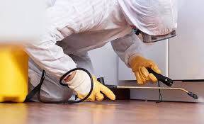 Best Residential Pest Control  in Natchitoches, LA